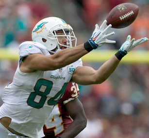 Jordan Cameron